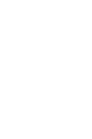 Joints Muscles Bones Organs